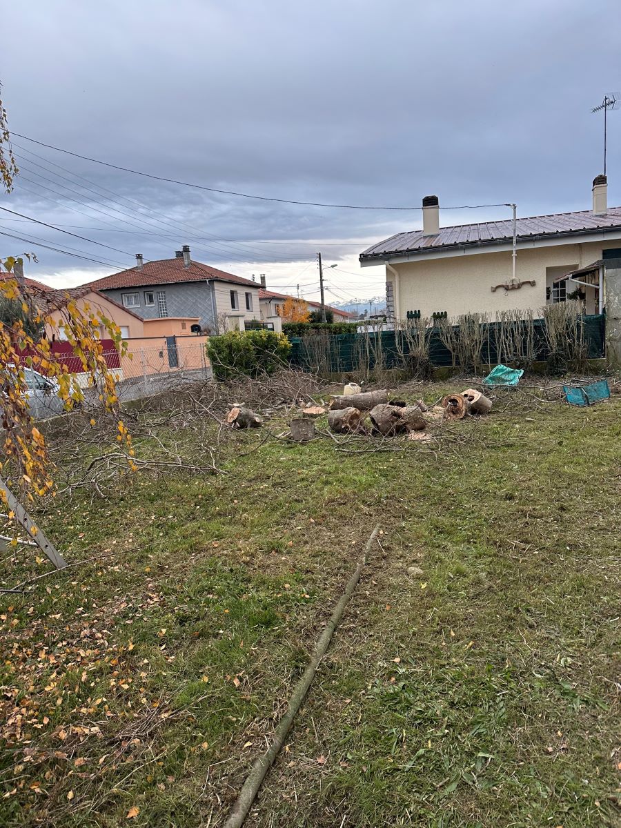 Intervention, élagage abattage d'arbres à Tarbes Intervention, élagage abattage d'arbres à Tarbes