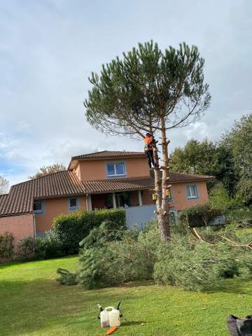 Élagage et abattage d'arbres à proximité de Tarbes Élagage et abattage d'arbres à proximité de Tarbes