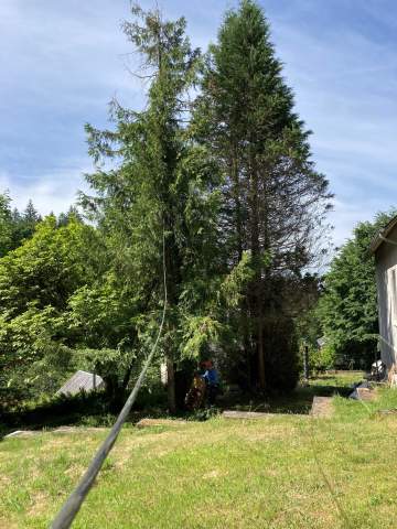 Intervention d'abattage d’arbres à Tarbes Intervention d'abattage d’arbres à Tarbes