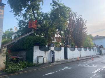 Intervention d'élagage d'arbres à Pau Intervention d'élagage d'arbres à Pau