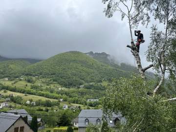 Intervention, élagage et entretien de jardin à Cauterets dans les Hautes-Pyrénées Intervention, élagage et entretien de jardin à Cauterets dans les Hautes-Pyrénées