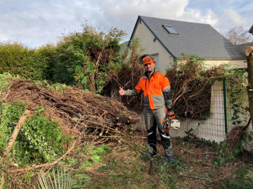 Abattage de haies près de Tarbes Abattage de haies près de Tarbes