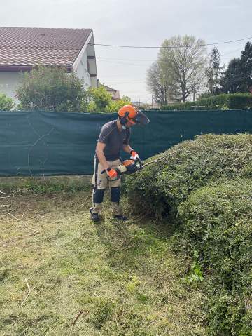 Entretien de jardin à Tarbes Entretien de jardin à Tarbes