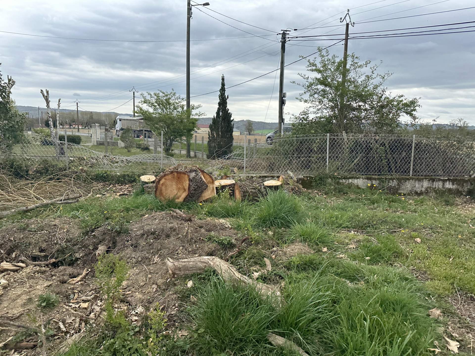 Abattage d'un arbre tombé suite à des intempéries près de Tarbes