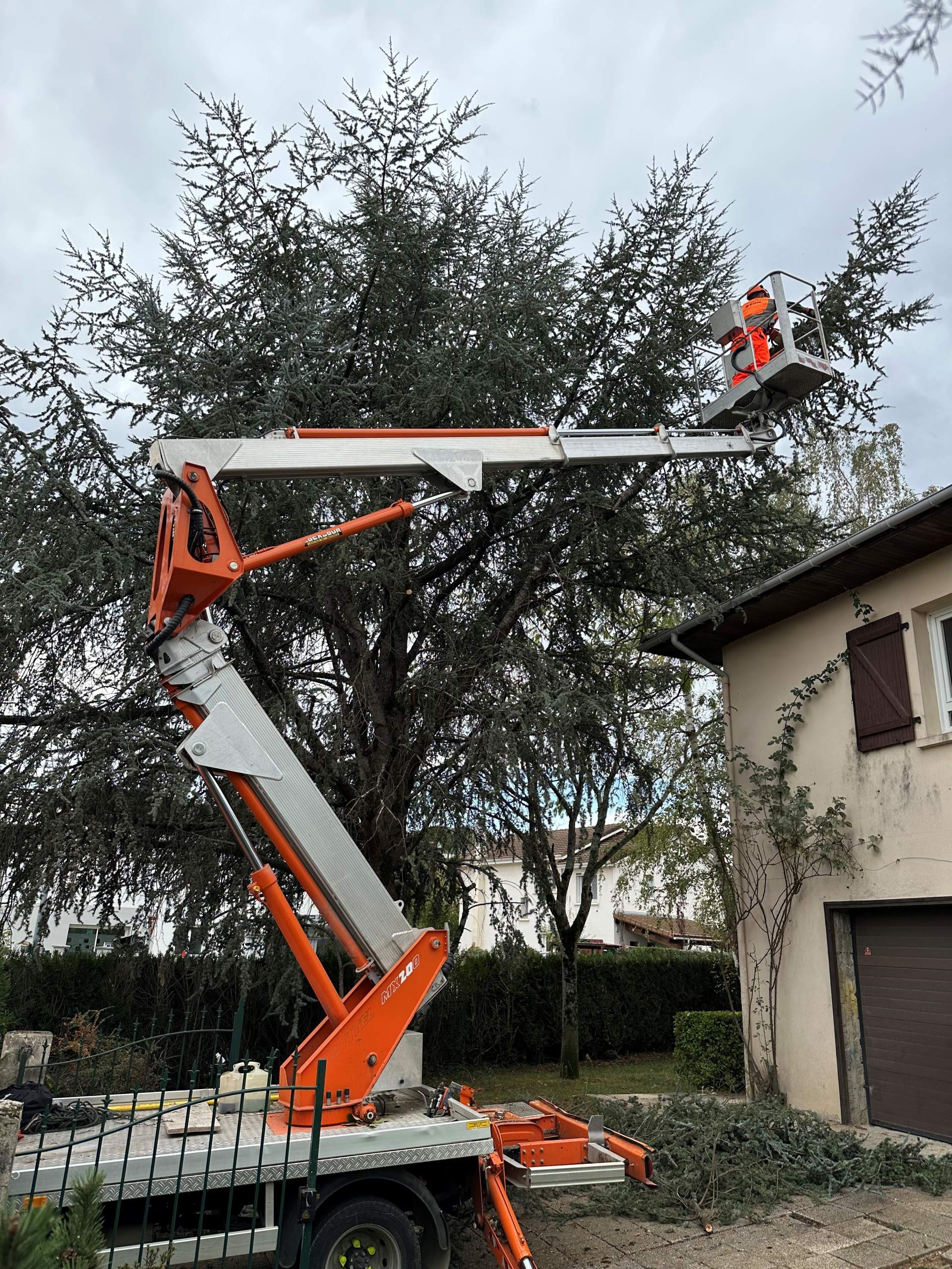 Intervention d'élagage et d'abattage d'arbre à Juillan à proximité de Tarbes