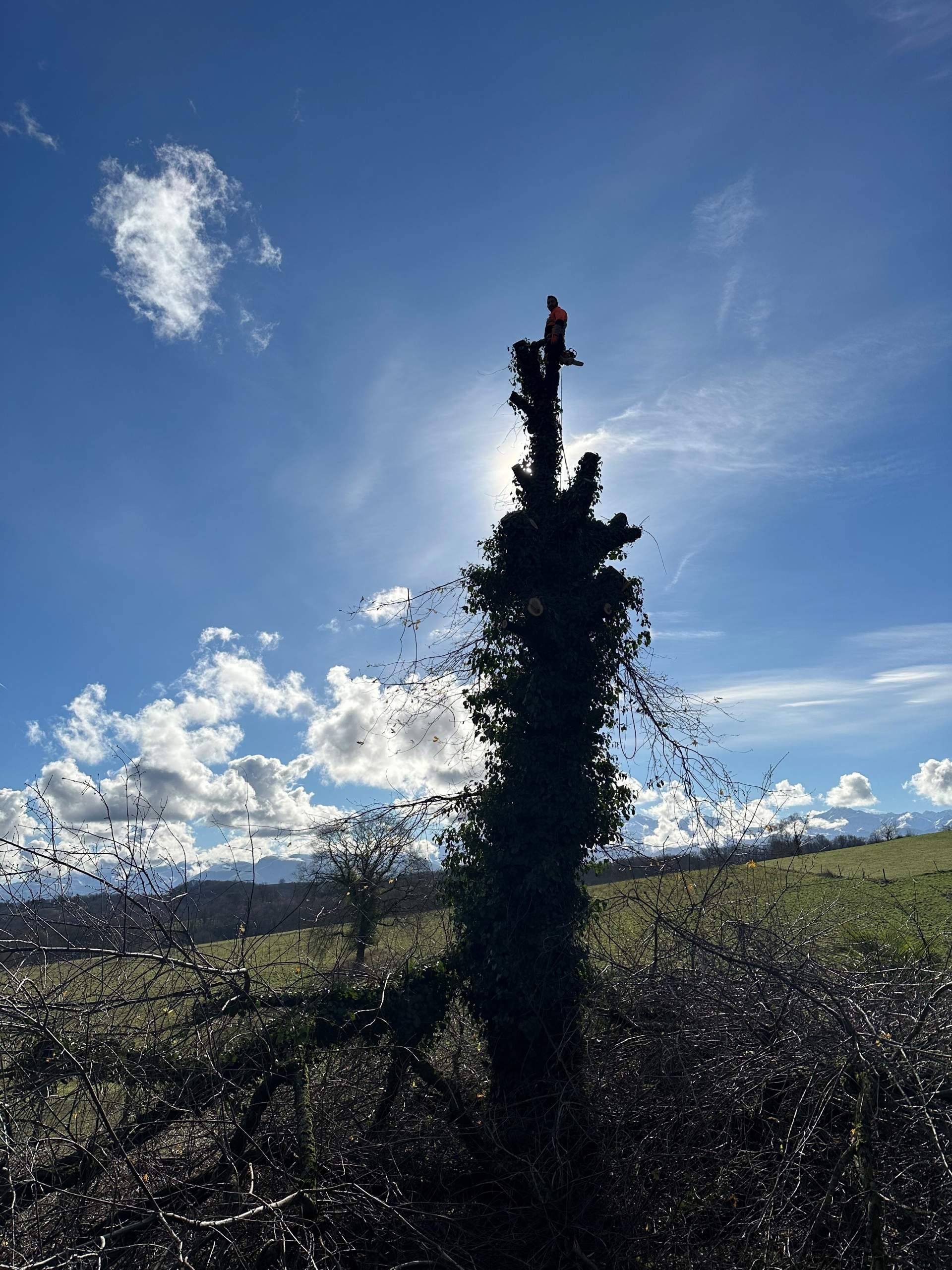 Élagage et abattage d’arbres à Barbazan-Debat