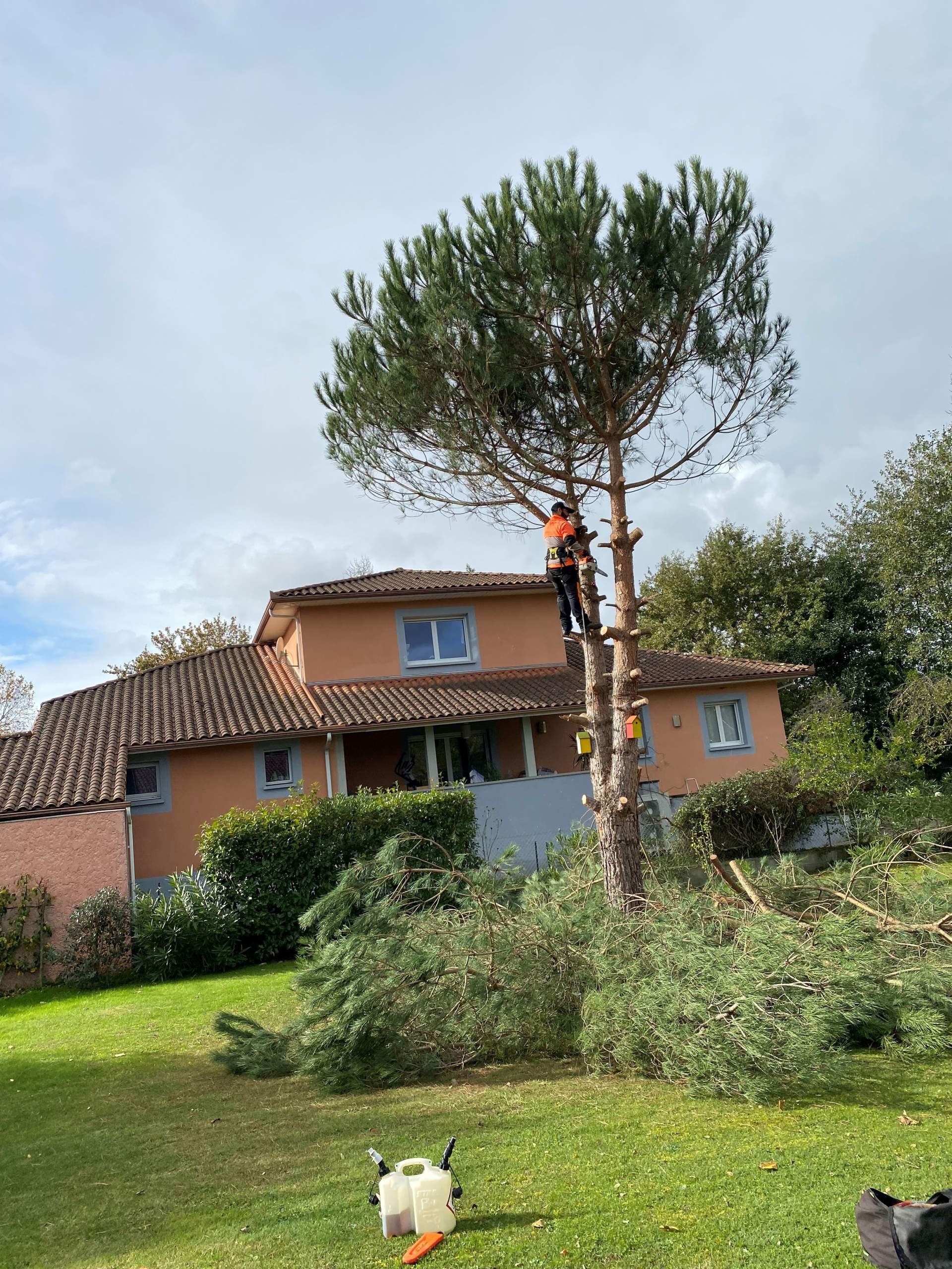 Élagage et abattage d'arbres à proximité de Tarbes Élagage et abattage d'arbres à proximité de Tarbes
