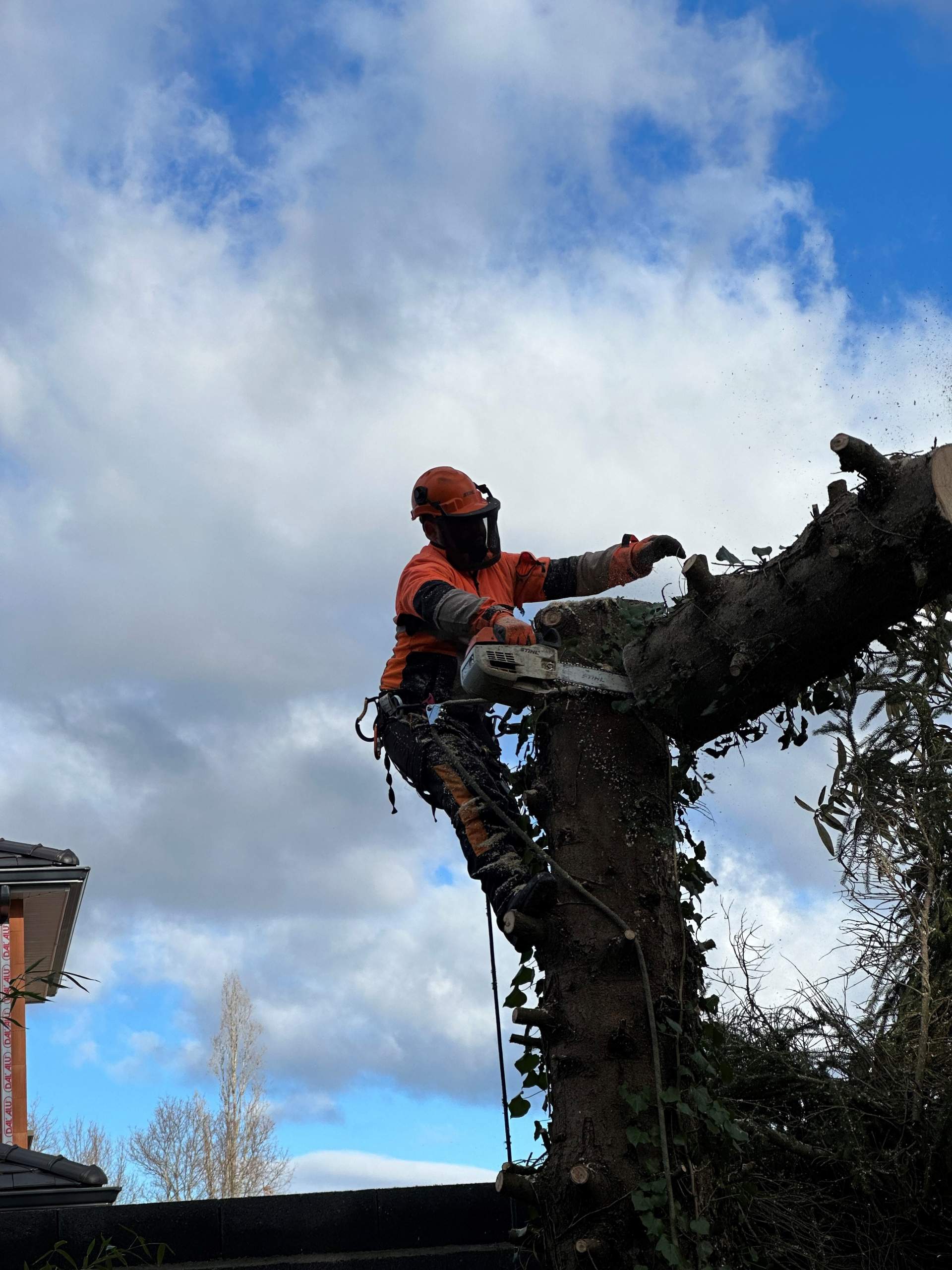 Abattage d'arbre par démontage près de Tarbes Abattage d'arbre par démontage près de Tarbes