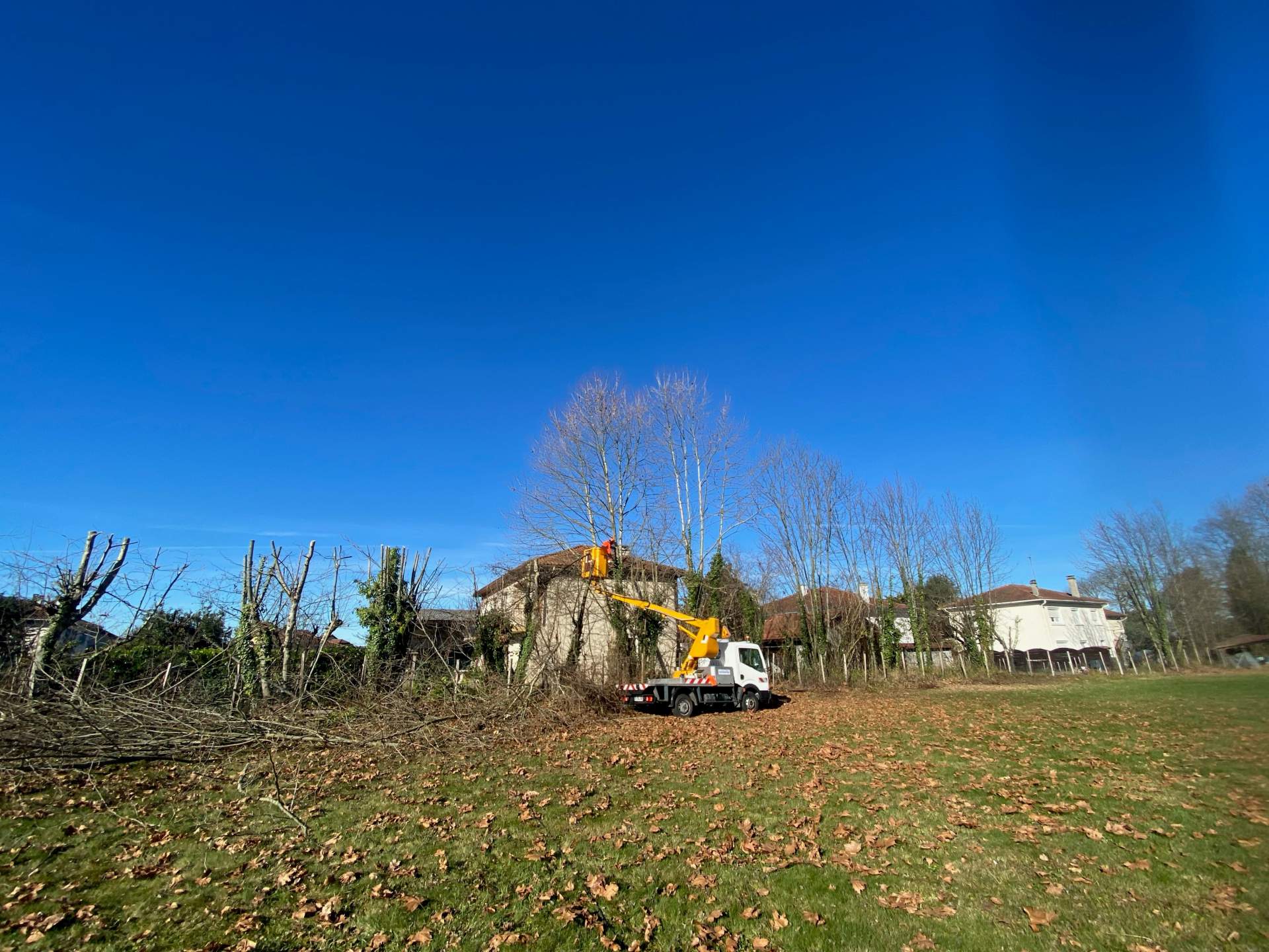 Intervention avec nacelle : élagage d’arbre dans le 65, dans les hautes pyrénées