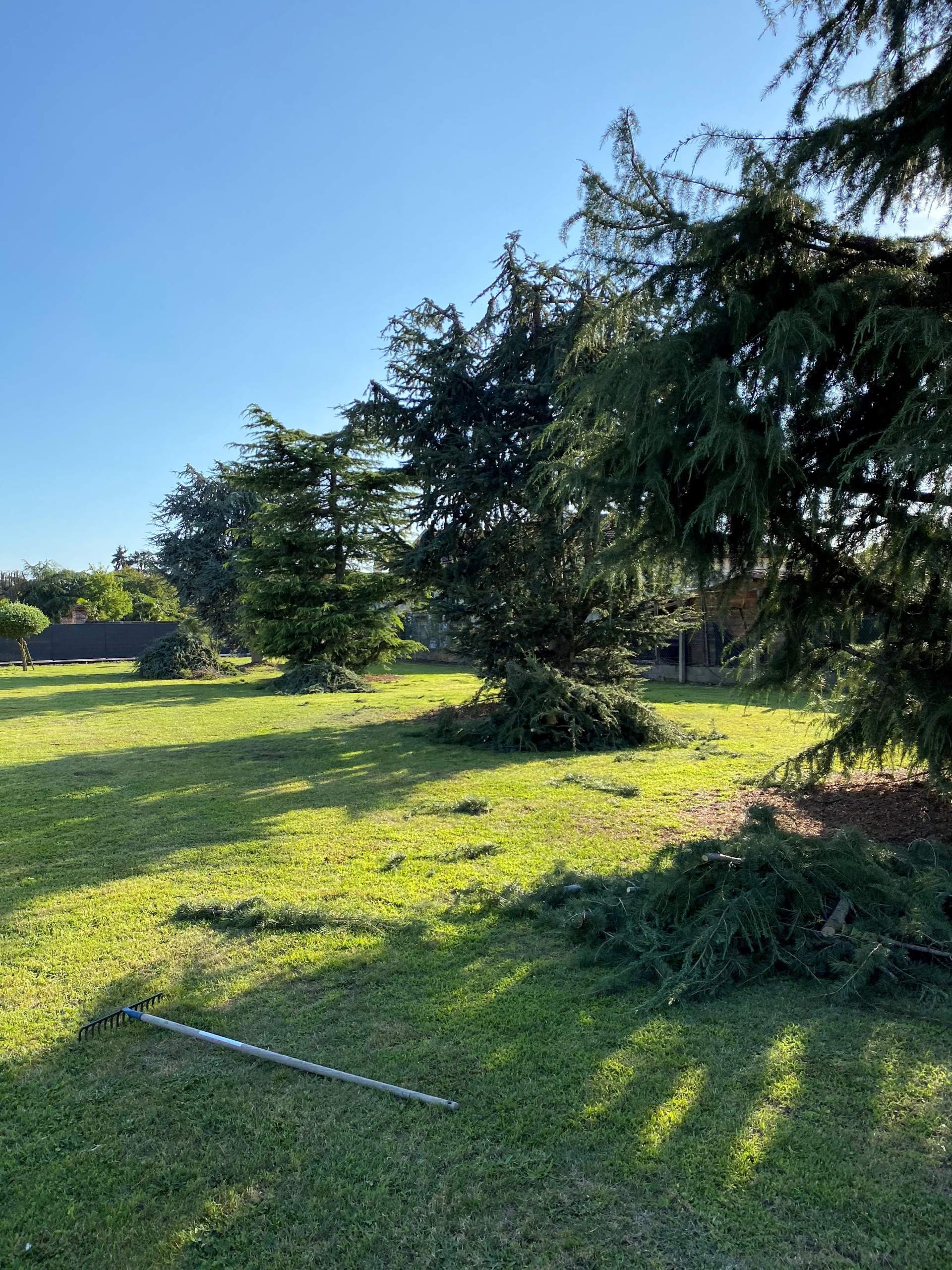 Élagage d'arbre aux alentours de Tarbes (département Hautes Pyrénées 65) 