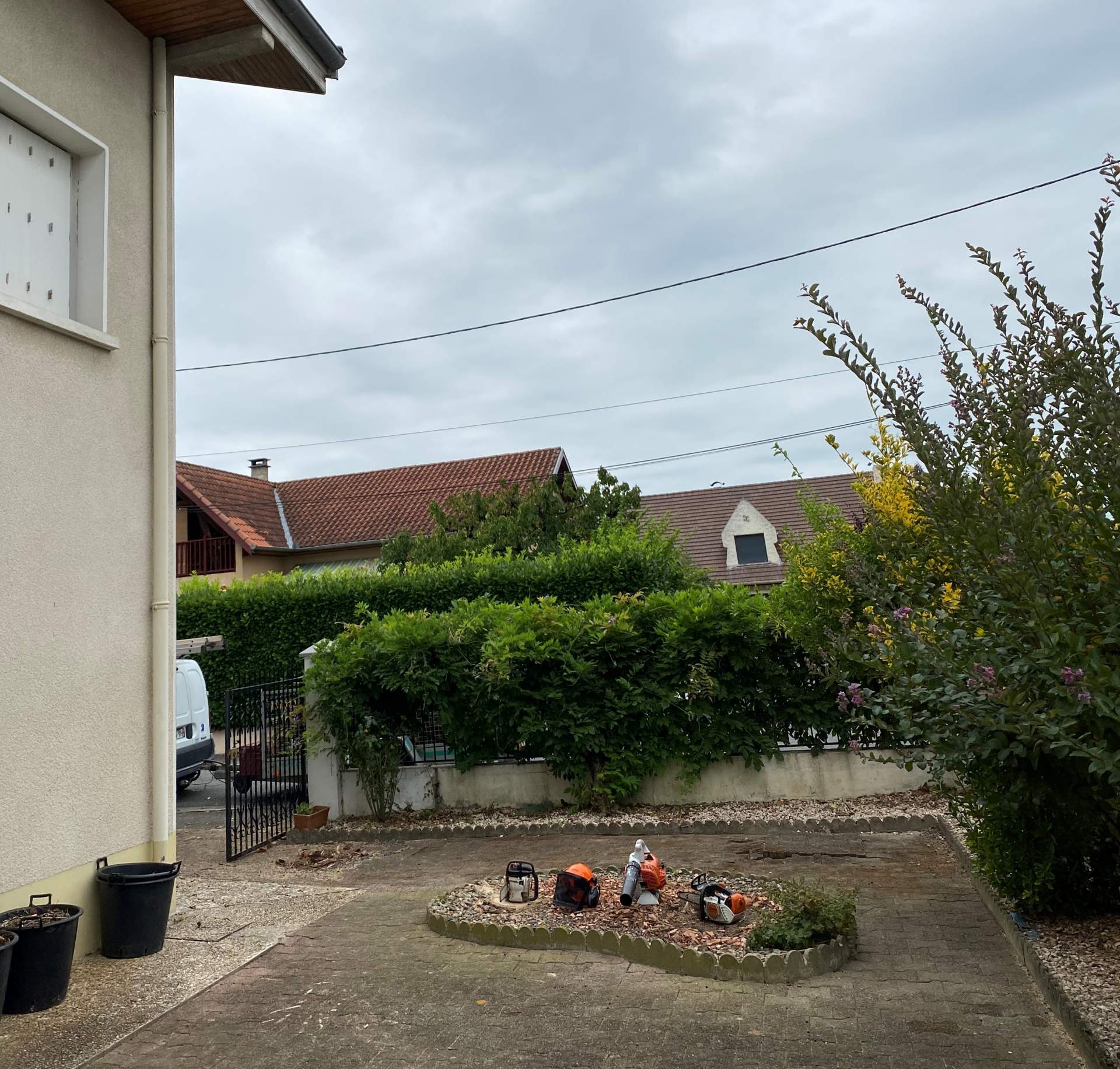 Abattage de palmiers menaçants près de Tarbes