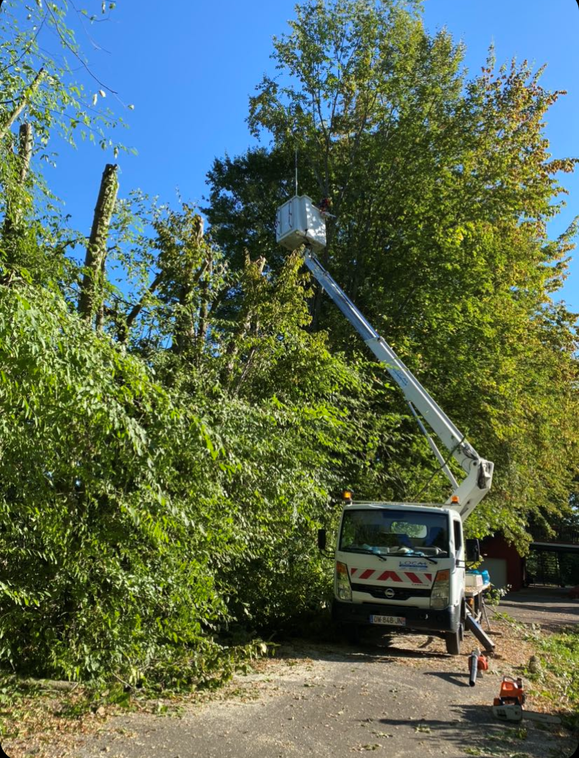 Intervention d'élagage avec nacelle aux alentours de Tarbes