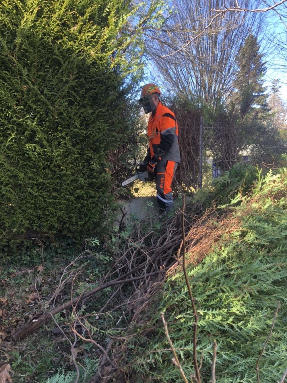 Abattage de haies près de Tarbes Abattage de haies près de Tarbes