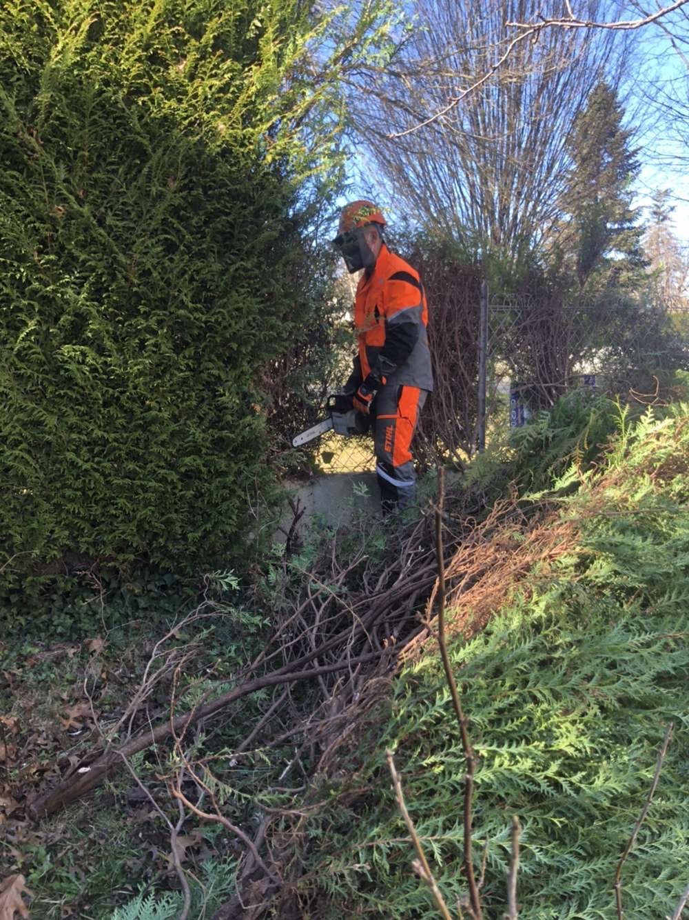 Abattage de haies près de Tarbes