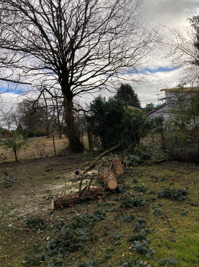 Intervention d'élagage à proximité de Pau