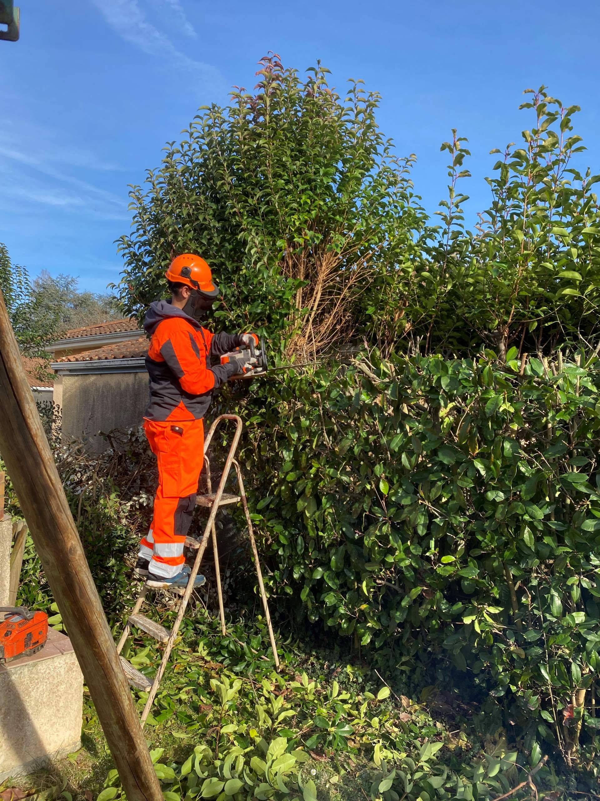 Entretien de jardin aux alentours de Tarbes