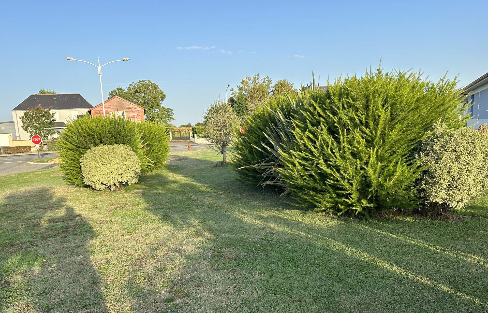 Taille de haies à Pontiacq-Vieillepinte