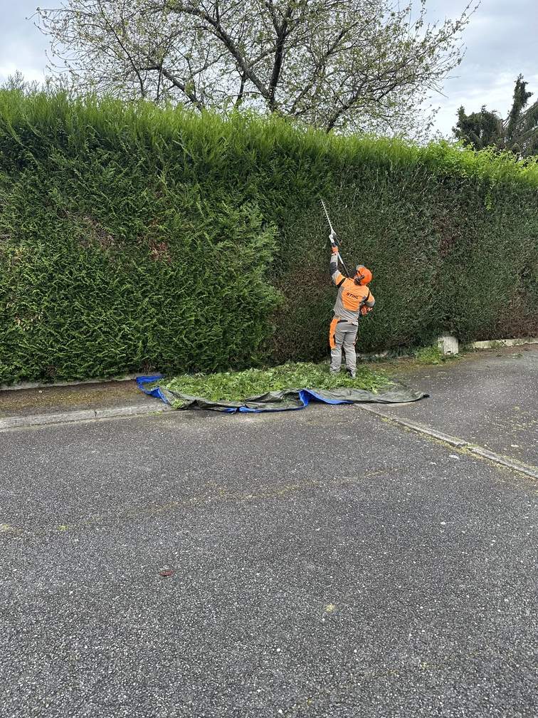 Entretien, parcs et jardins à Serres-Castet Entretien, parcs et jardins à Serres-Castet