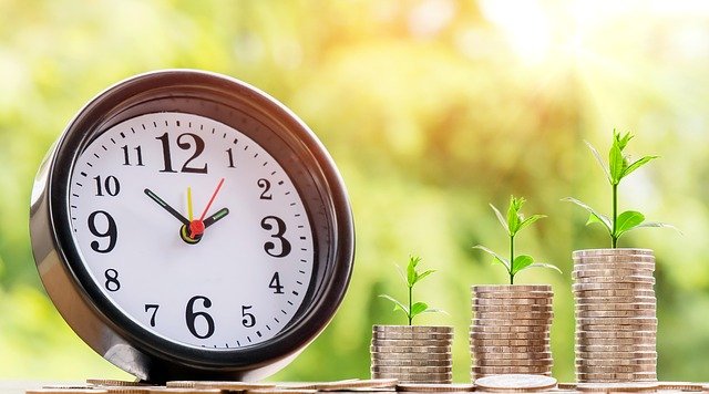 À combien s’élèvent nos tarifs d’élagueur paysagiste ? À combien s’élèvent nos tarifs d’élagueur paysagiste ?