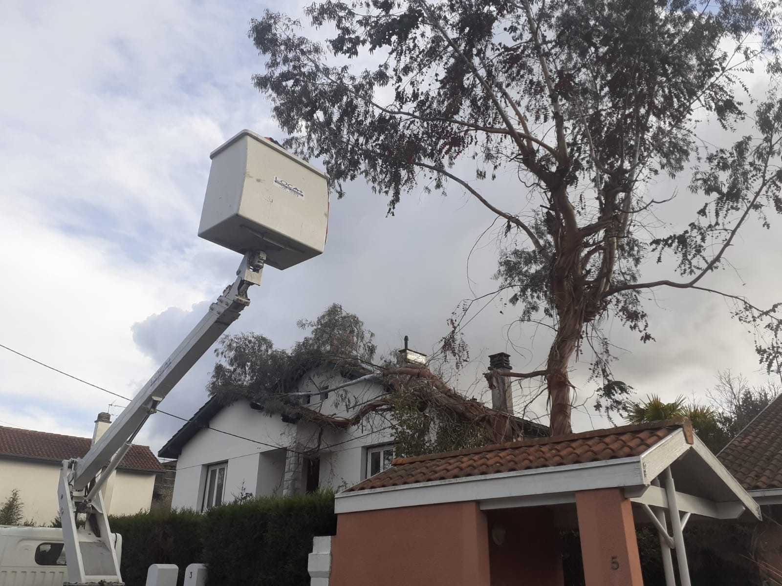 Intervention en urgence d'abattage d'arbre à Tarbes