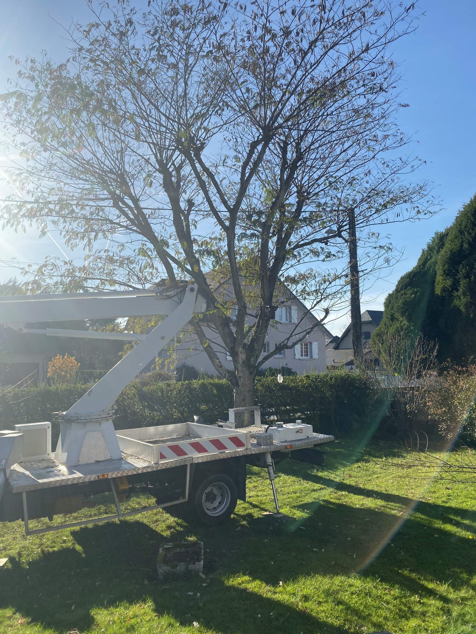 Intervention avec nacelle d'élagage à proximité de Tarbes