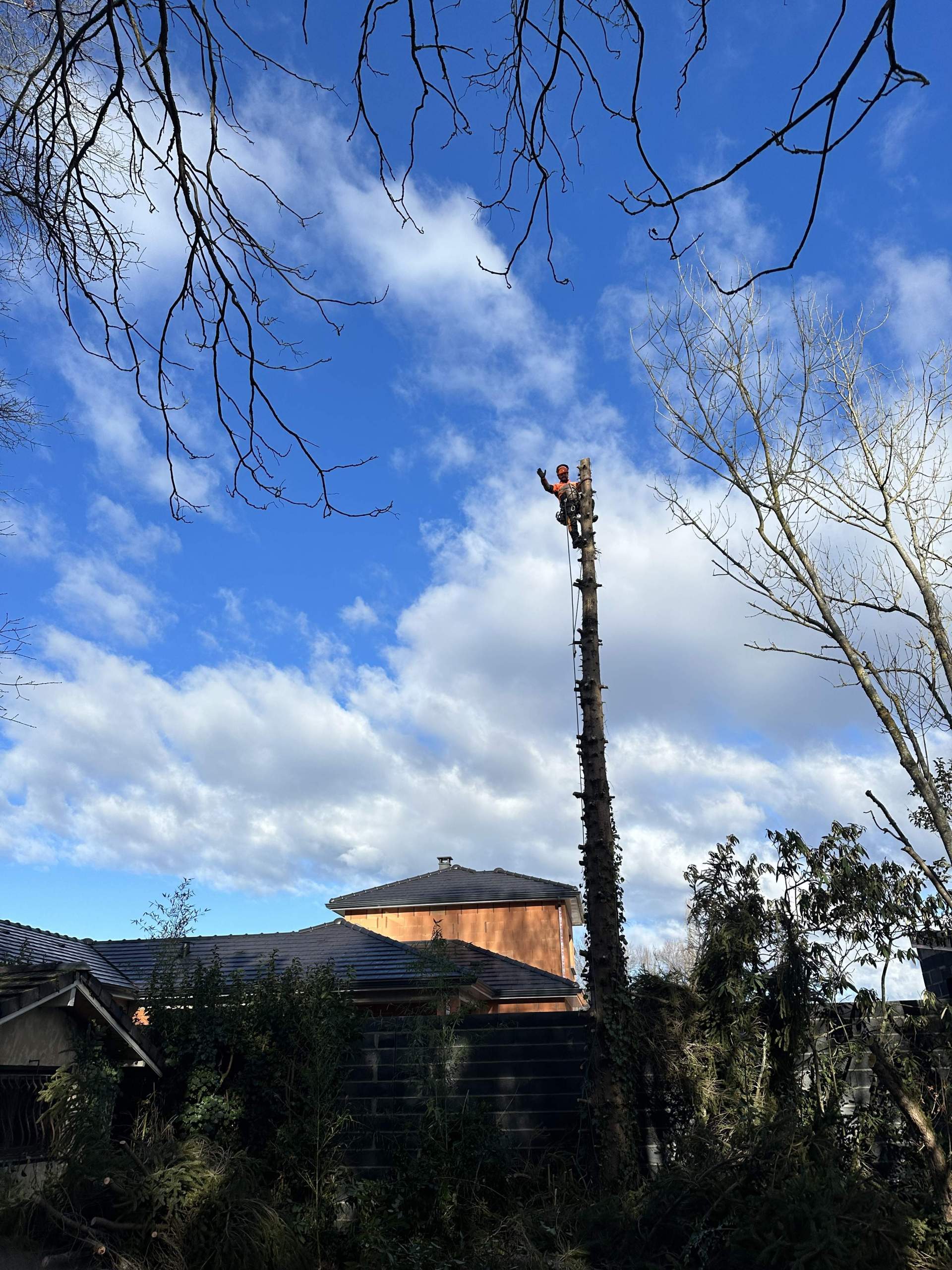 Abattage d’un arbre à Odos dans le département 65 Hautes-Pyrénées