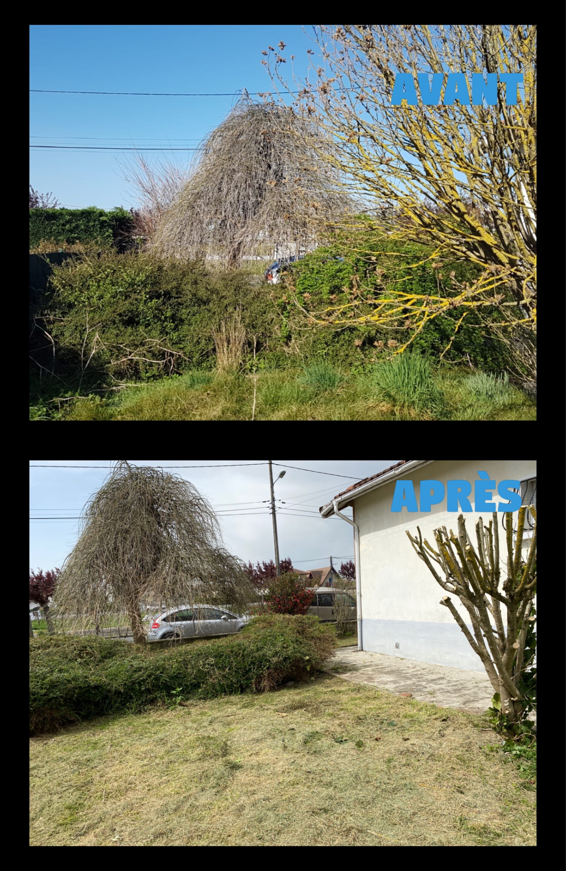 Défrichement et remise en état de jardin à Tarbes