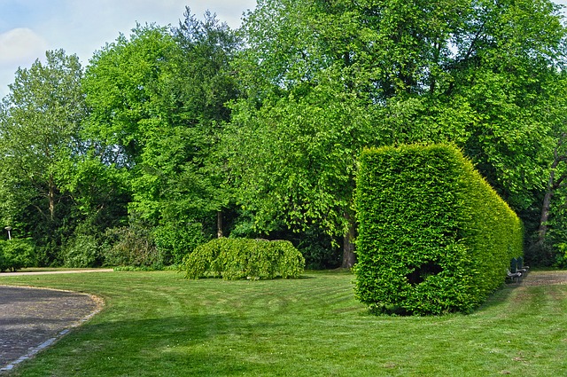 Entreprise d'entretien de haies en Hautes-Pyrenees Entreprise d'entretien de haies en Hautes-Pyrenees