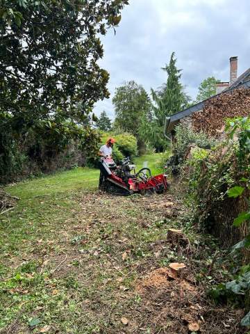 Rognage de plusieurs souches à Andrest (65390) 