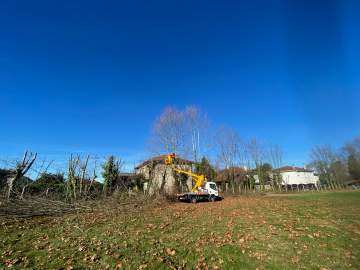 Intervention avec nacelle : élagage d’arbre dans le 65, dans les hautes pyrénées