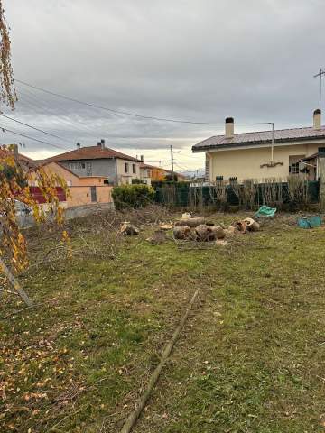 Intervention, élagage abattage d'arbres à Tarbes