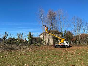 Intervention avec nacelle : élagage d’arbre dans le 65, dans les hautes pyrénées