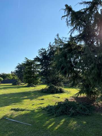 Intervention avec nacelle à Aureilhan à proximité de Tarbes