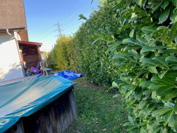 Entretien de jardin et taille de haies à Ibos, à proximité de Tarbes