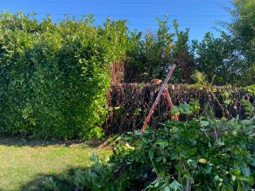 Entretien de jardin et taille de haies à Ibos, à proximité de Tarbes