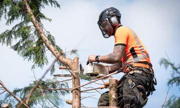 Votre professionnel à votre service Contactez-moi