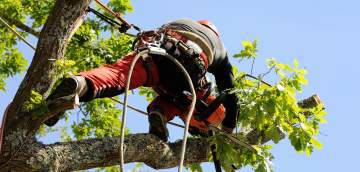 Votre professionnel à votre service Contactez-moi