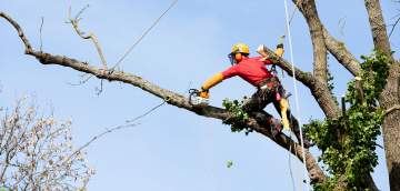 Votre professionnel à votre service Contactez-moi