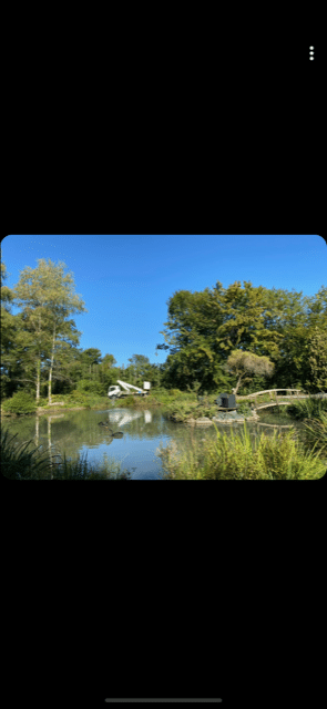 Paysage estival avec un étang calme, un camion nacelle blanc près de la rive et un petit pont arqué en bois traversant une partie de l'eau.
