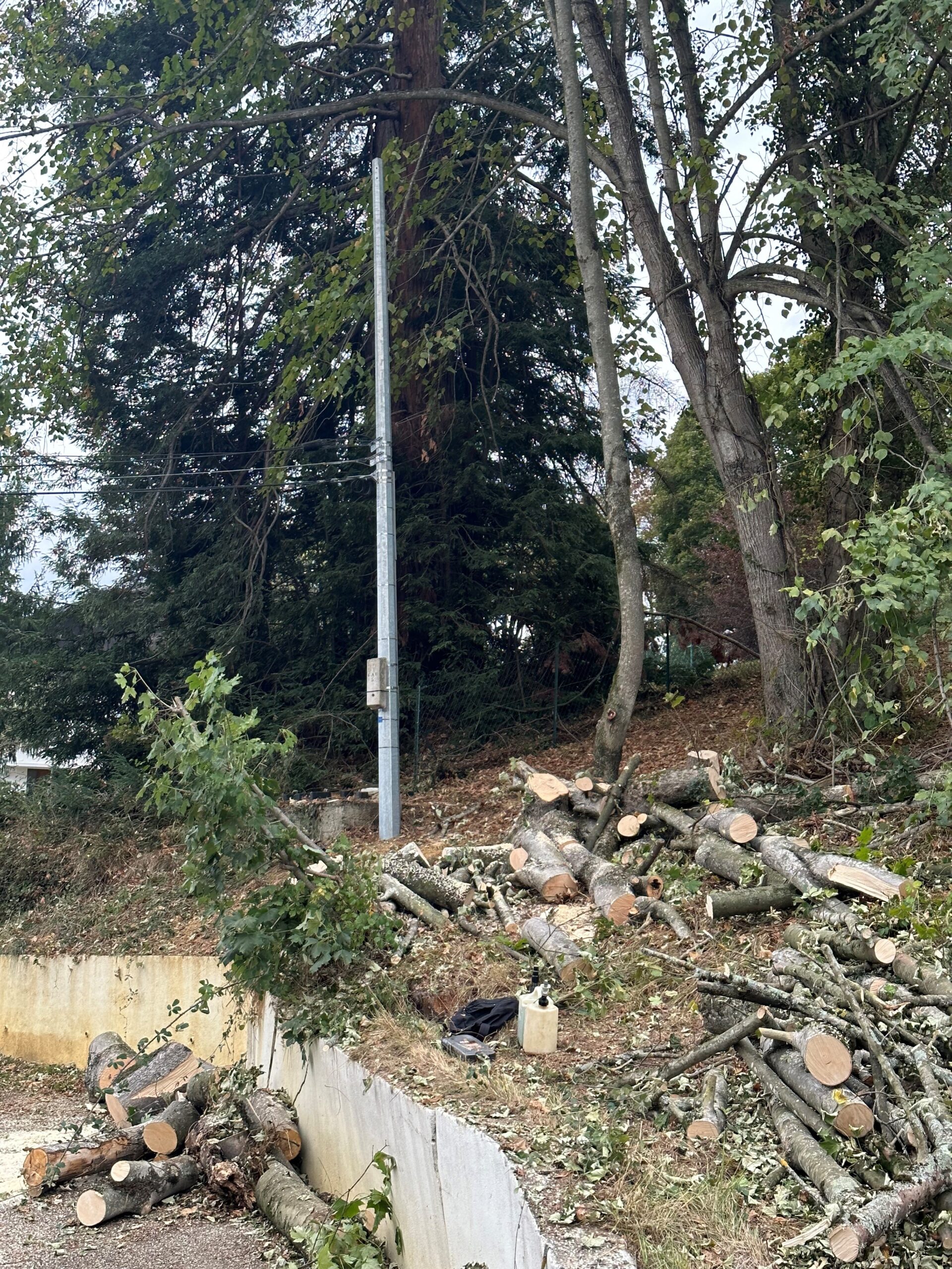 Bûches et débris coupés au pied d'une pente arborée près d'un lampadaire et d'une retenue en béton.
