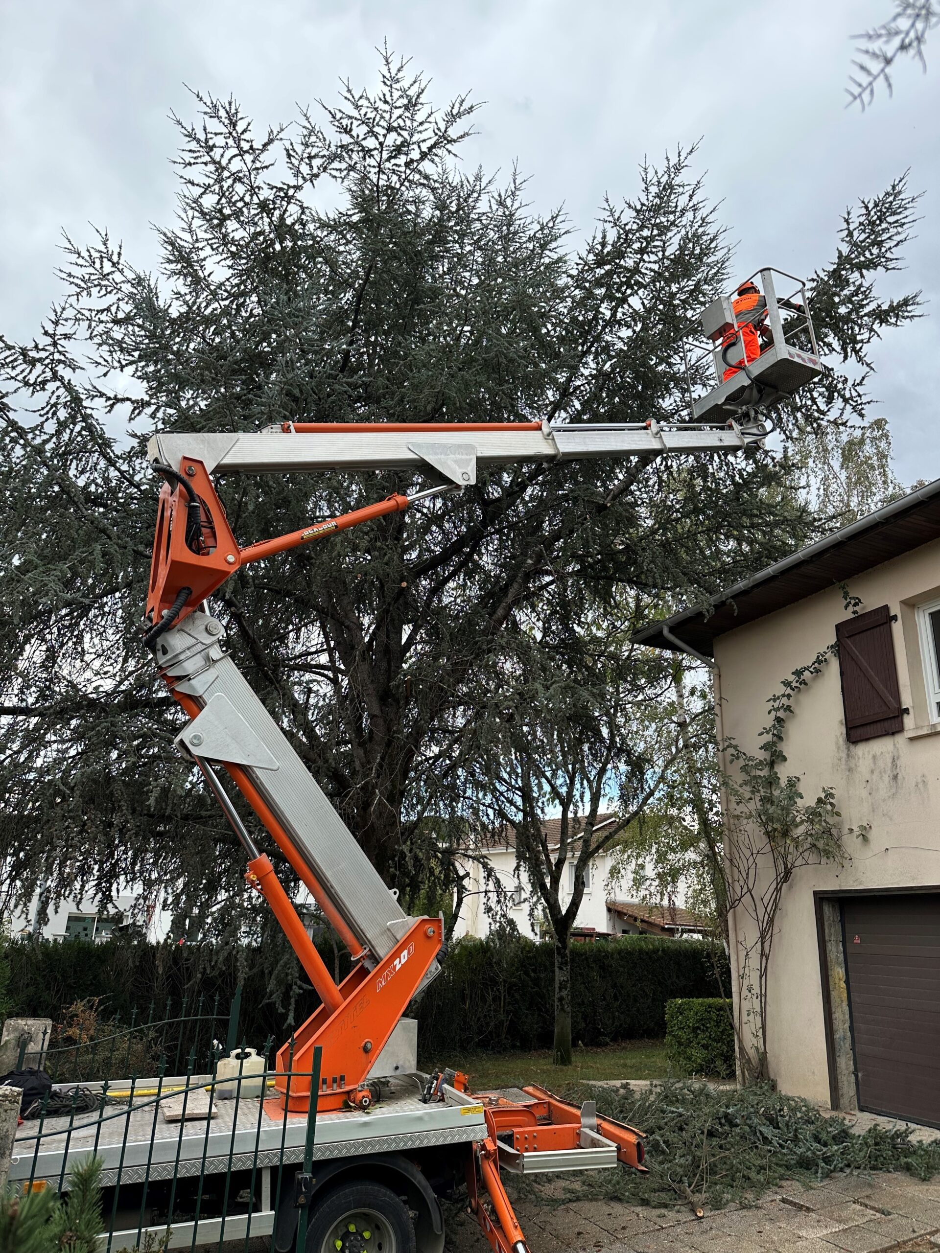 Intervention d&rsquo;élagage et d&rsquo;abattage d&rsquo;arbre à Juillan