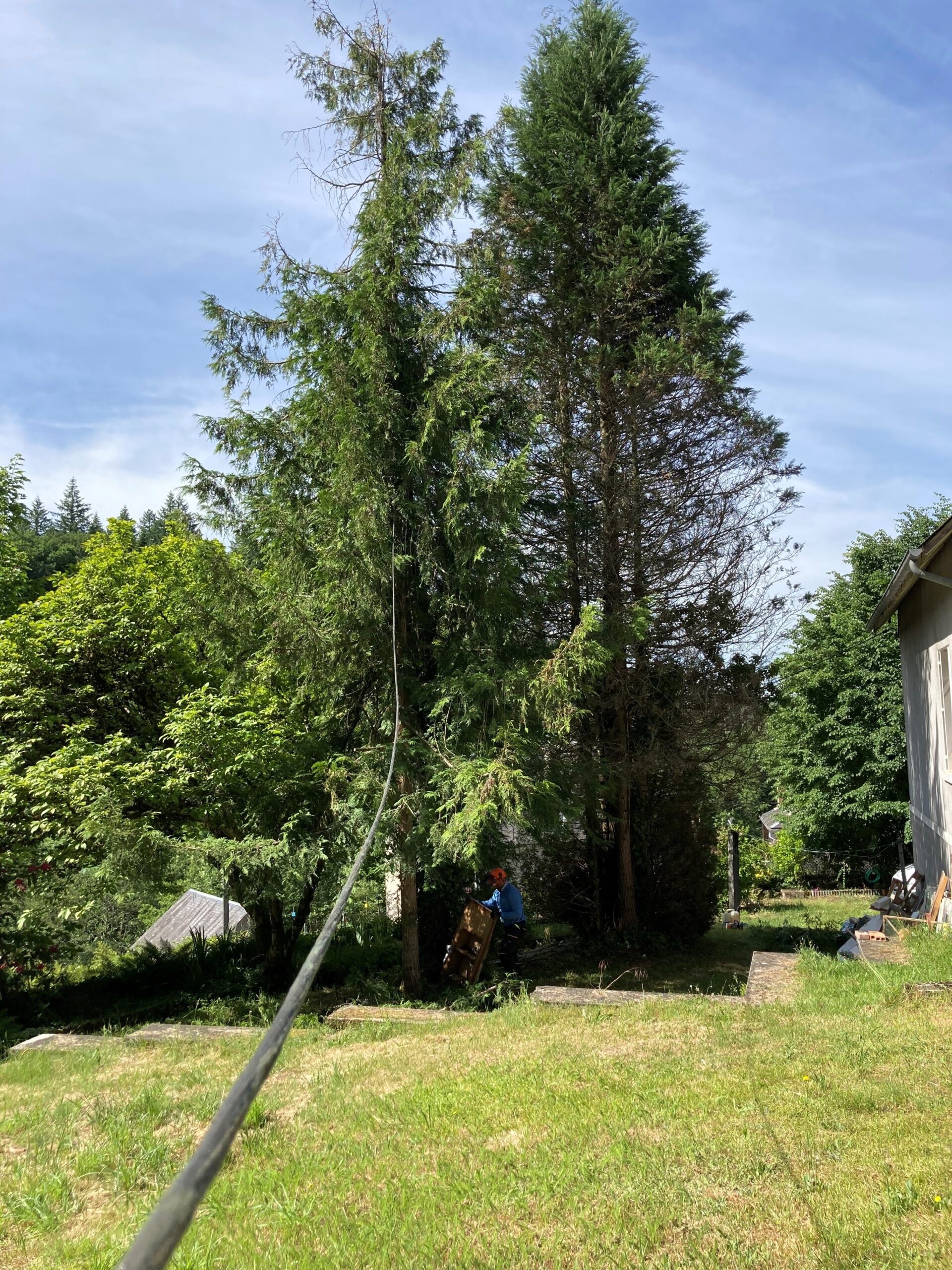 Intervention d&rsquo;abattage d’arbres à Tarbes