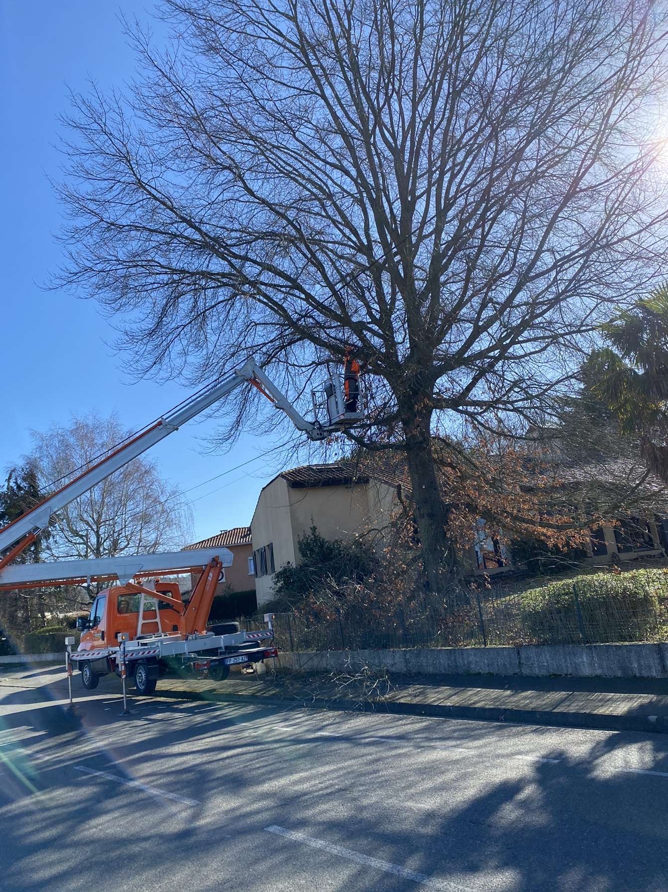 Elagage d&rsquo;arbres à Orleix près de Tarbes