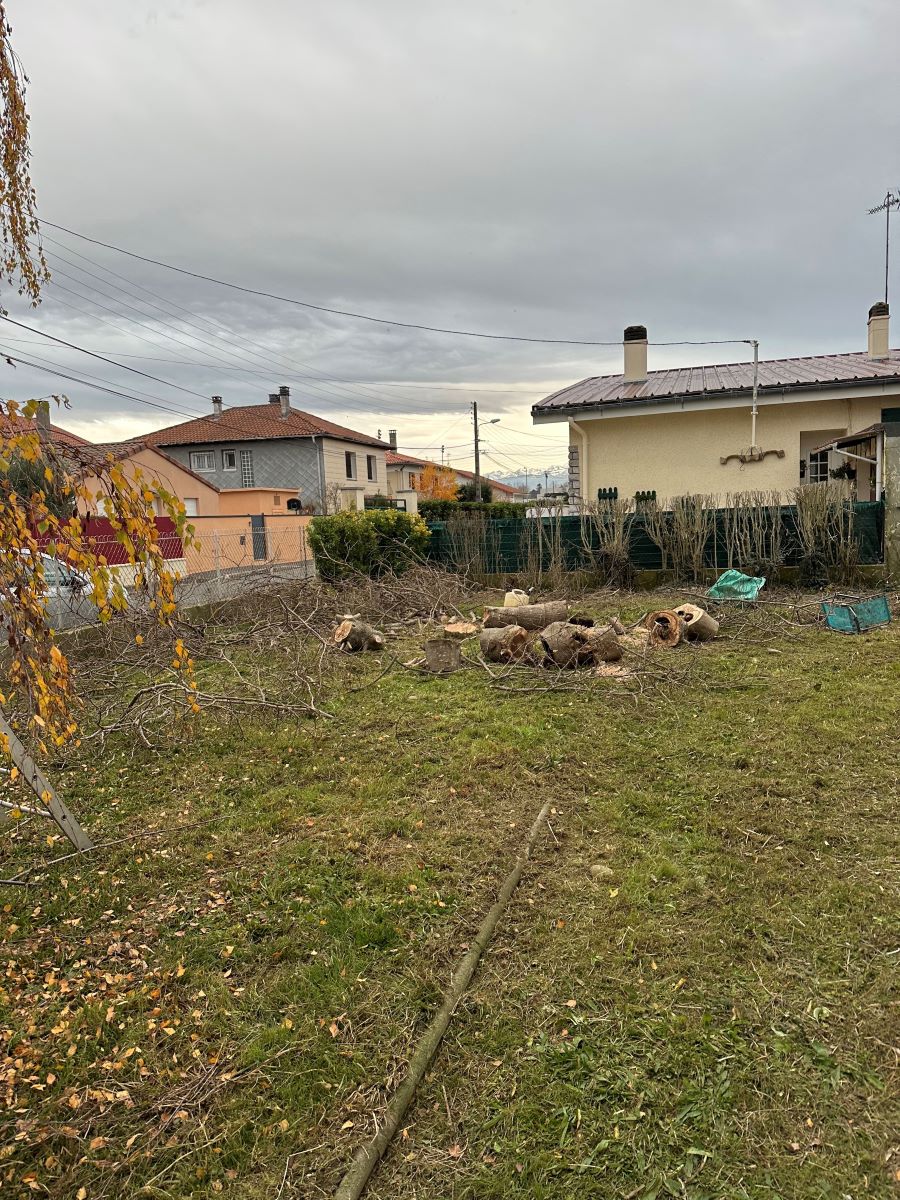 Jardin résidentiel en automne avec des branches coupées et des rondins de bois empilés sur l'herbe, sous un ciel gris et couvert.