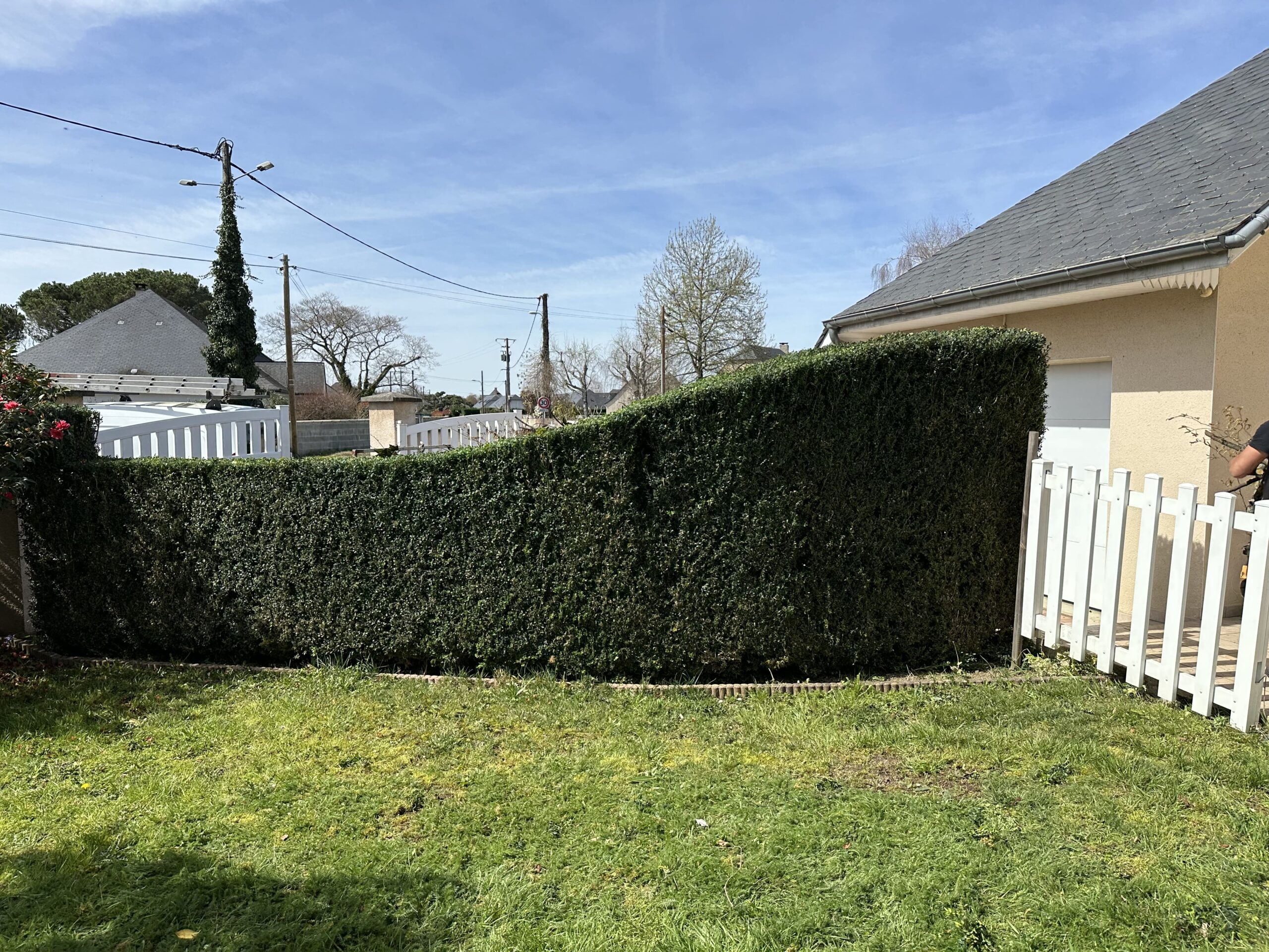 Taille de haie à proximité de Tarbes