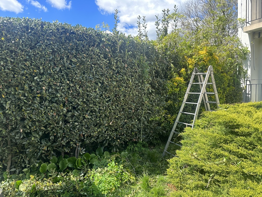 Intervention d&rsquo;entretien de jardin à Tarbes