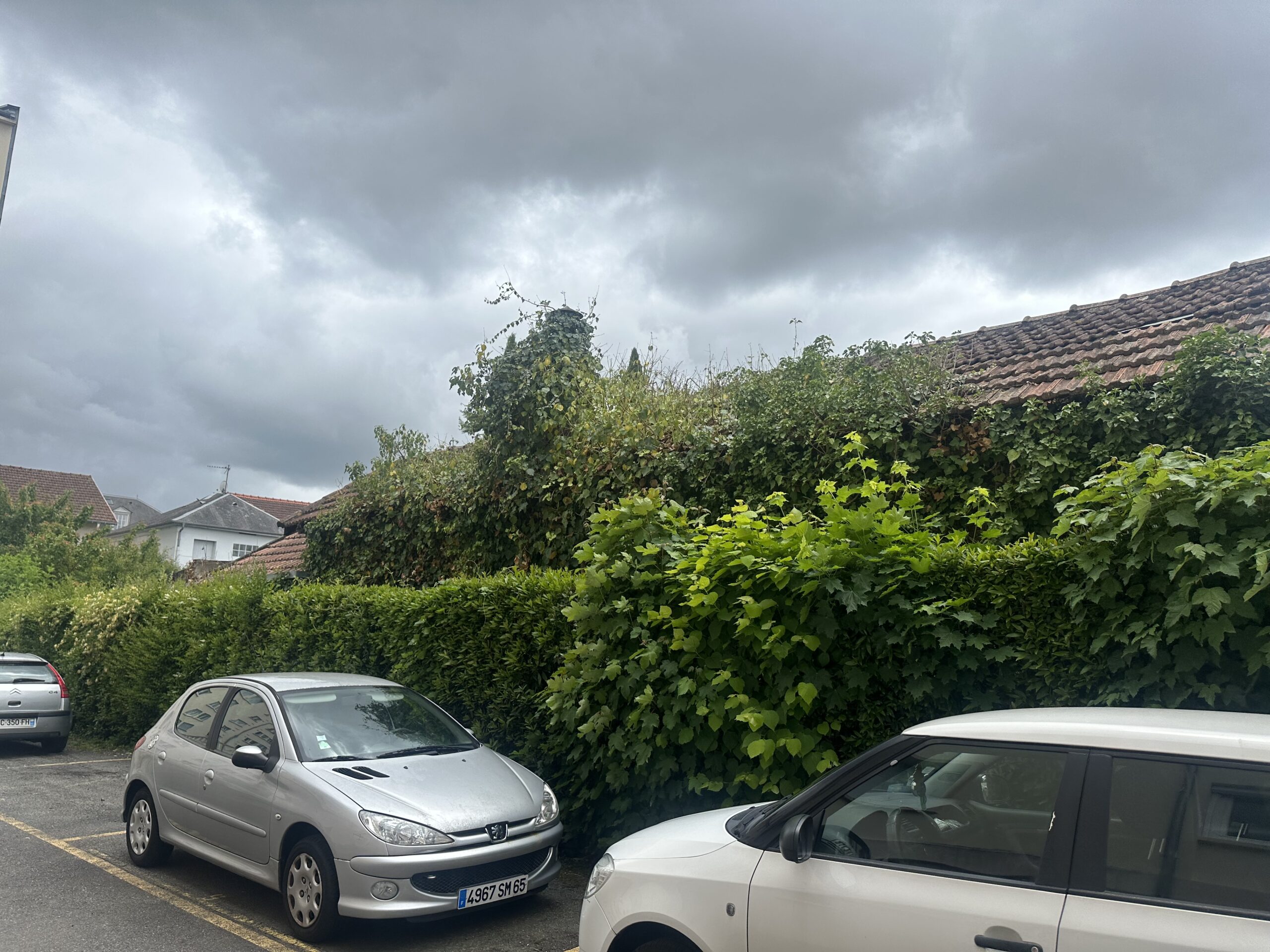 Voitures Peugeot 206 argentée (plaque 4967 SM 65) et blanche garées devant une haie luxuriante et des toits de tuiles rouges sous un ciel gris orageux.