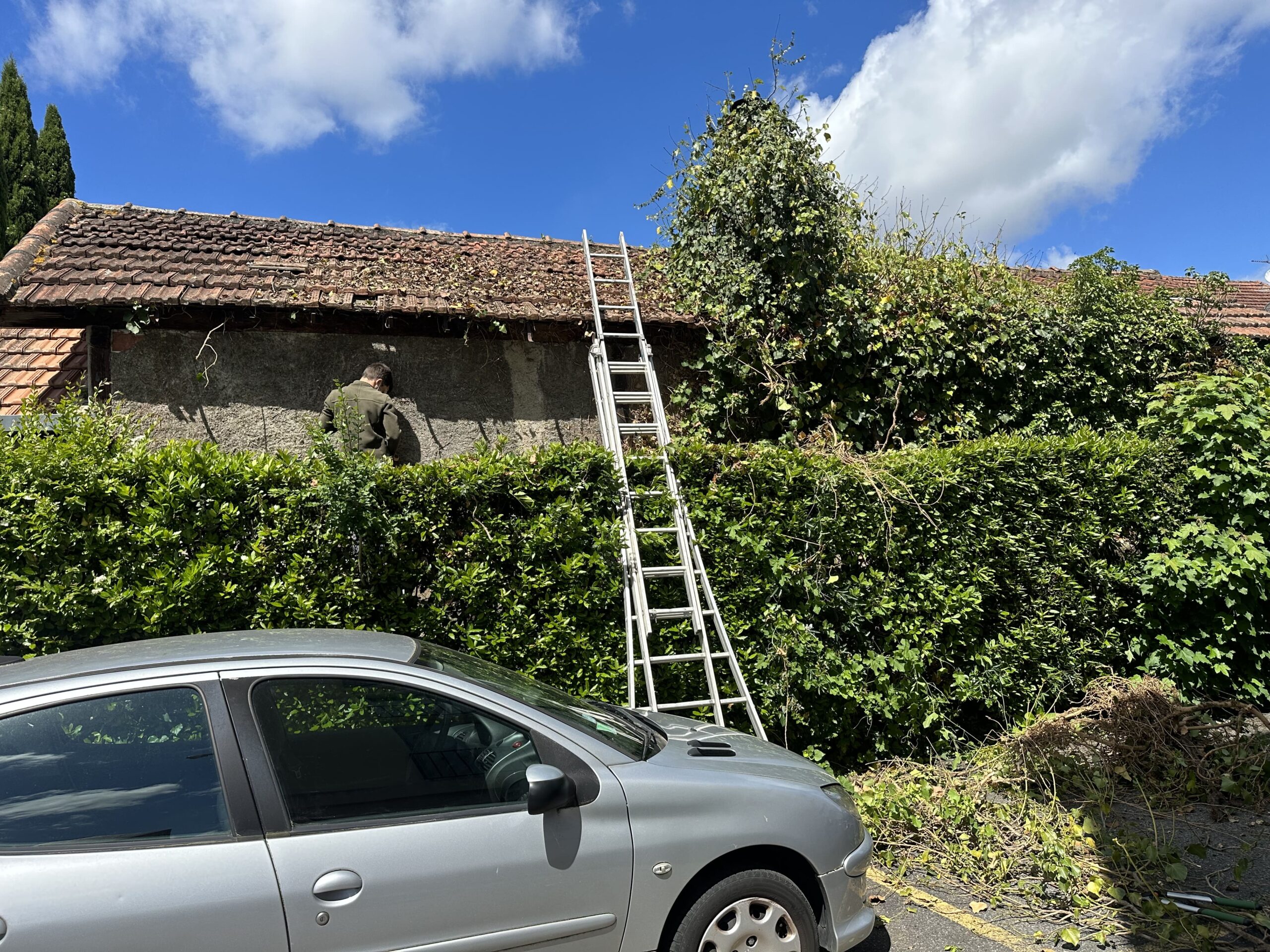 Intervention pour agence Laforêt Tarbe