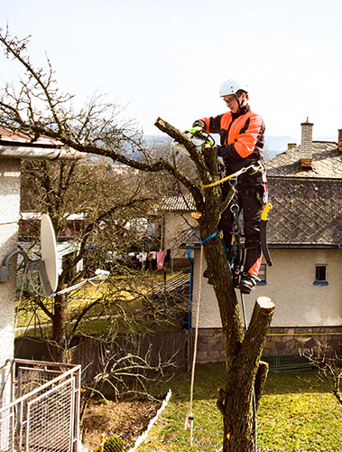 Entreprise élagage Hautes-Pyrénées