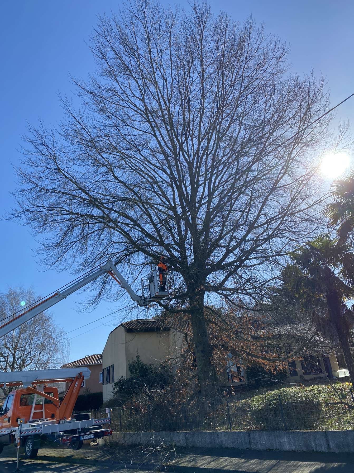Intervention d&rsquo;élagage à Orleix à proximité de Tarbes